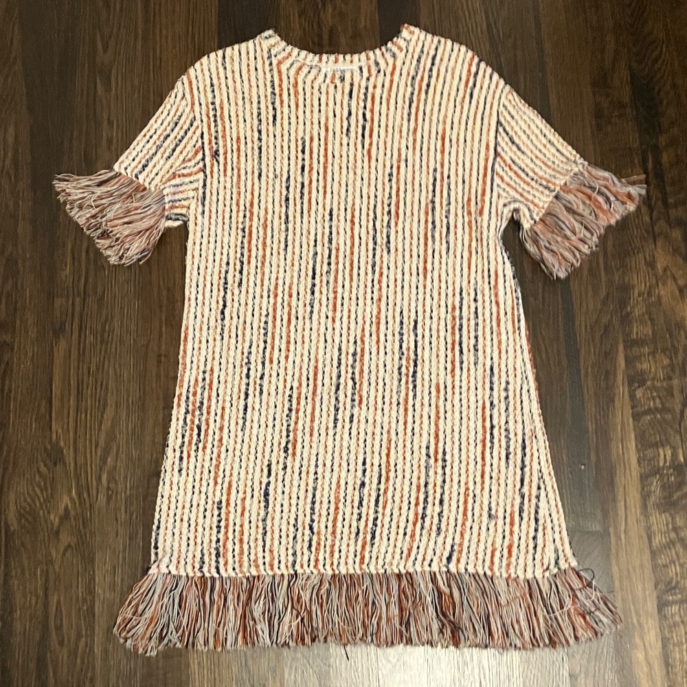 Zara Multicolor Striped Fringe Dress